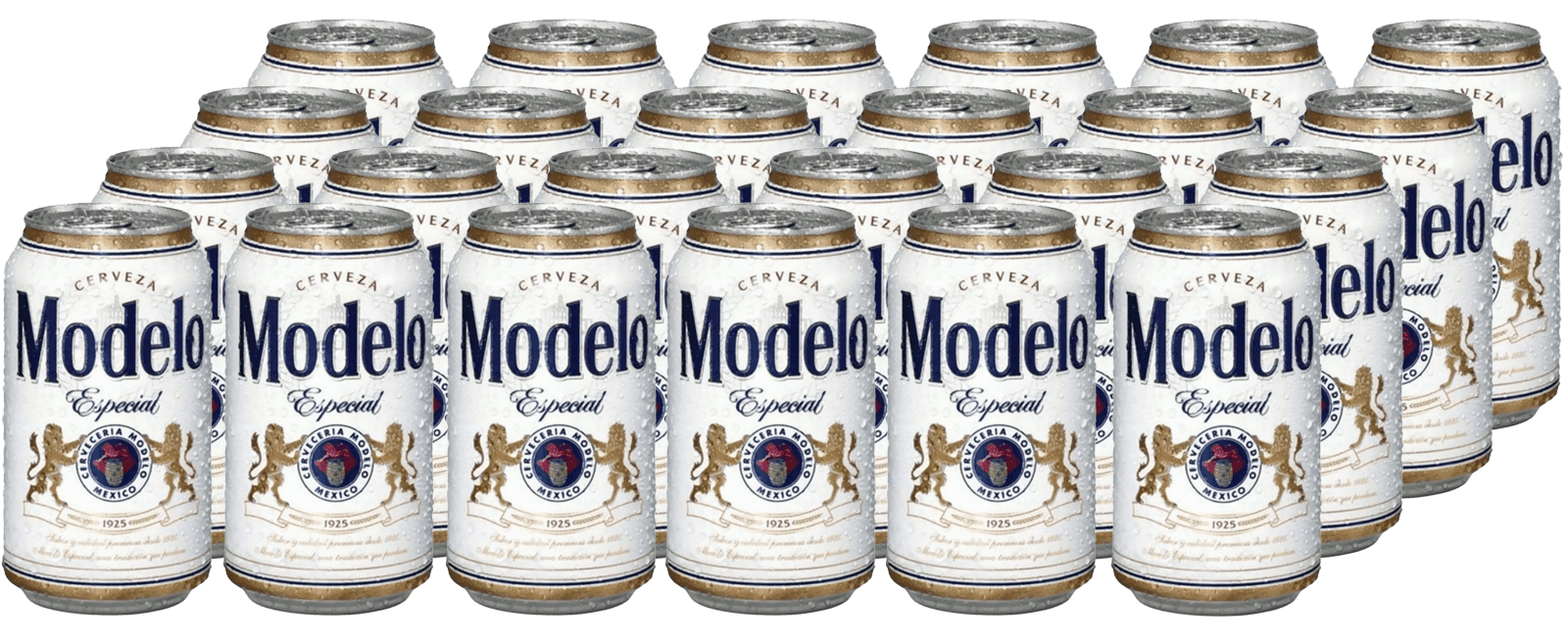 Modelo Especial Import (24 x 0.355 l)