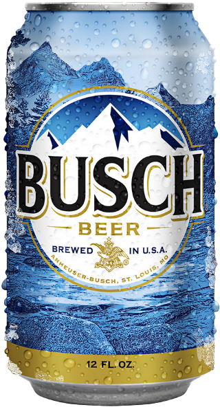 Busch Beer Import (1 x 0.355 l)