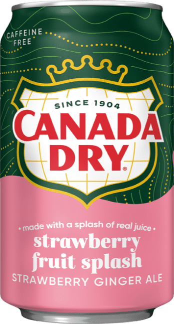 Canada Dry Fruit Splash Strawberry Ginger Ale Import (1 x 0.355 l)