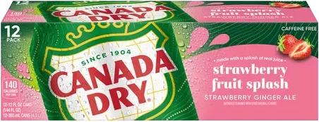 Canada Dry Fruit Splash Strawberry Ginger Ale Import (12 x 0.355 l)