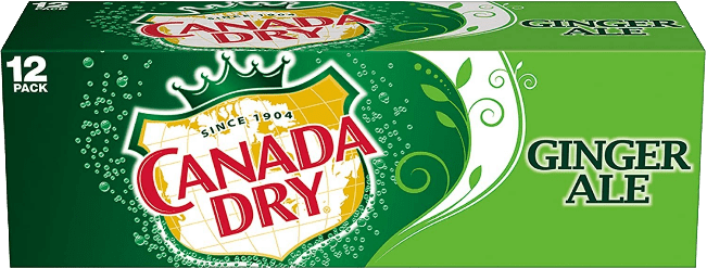 Canada Dry Ginger Ale Import (12 x 0.355 l)