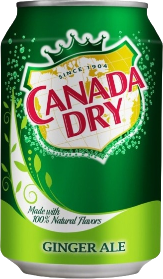 Canada Dry Ginger Ale Import (1 x 0.355 l)