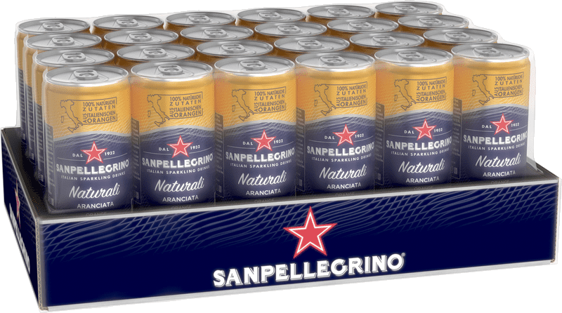 Sanpellegrino Aranciata (24 x 0.33 l)