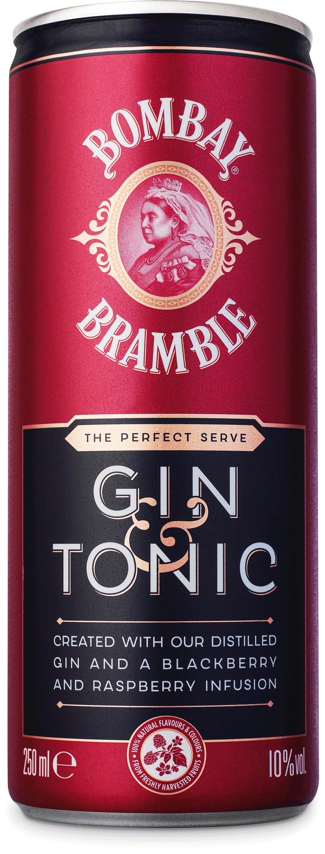 Bombay Bramble & Tonic (1 x 0.25 l)