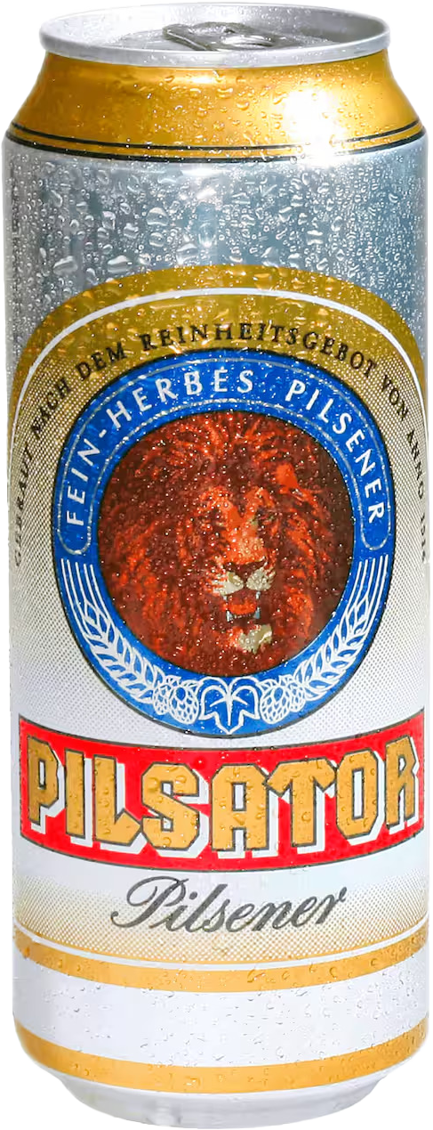 Pilsator Pilsener (1 x 0.5 l)