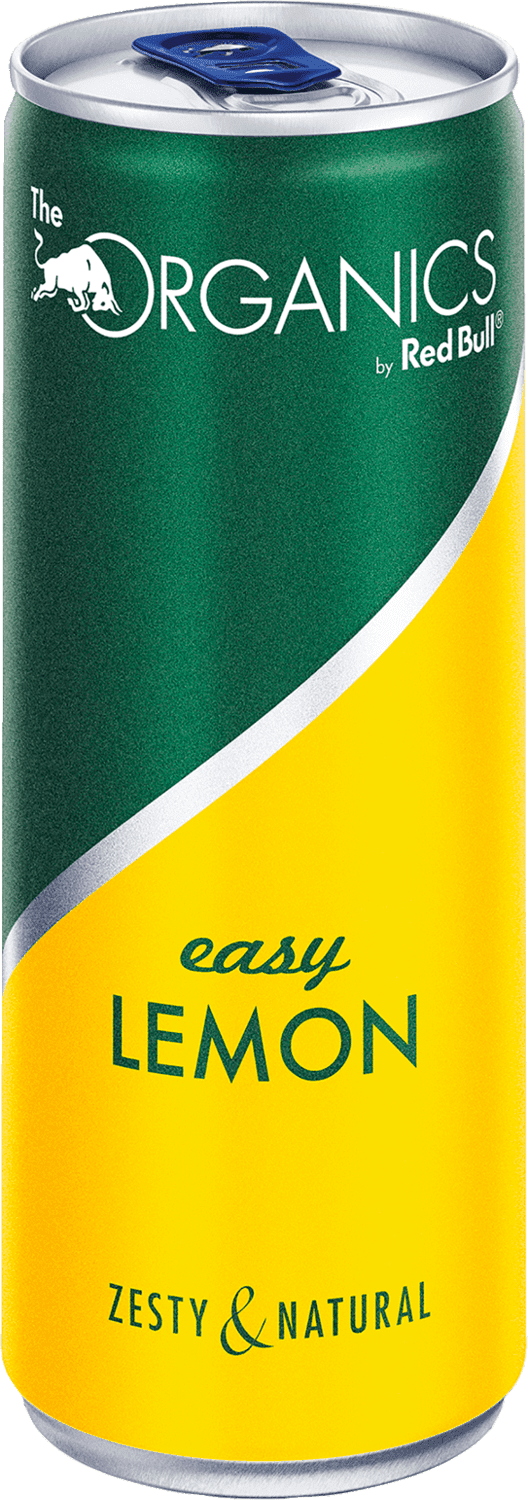 Red Bull Winter Edition 2024 Iced Vanilla Berry Sugarfree